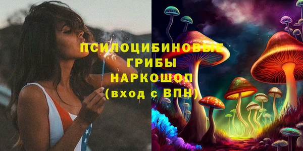 хмурый Алзамай
