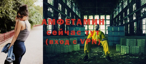 хмурый Алзамай