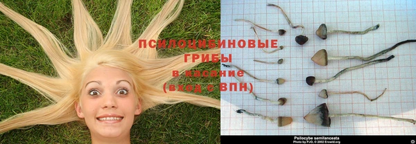 COCAINE Алексеевка