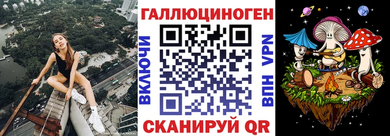 MEGA онион  Черногорск  Псилоцибиновые грибы мицелий 